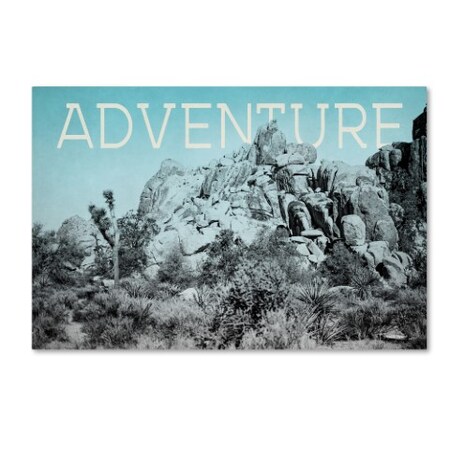 Trademark Fine Art Elizabeth Urquhart 'Ombre Adventure III Adventure' Canvas Art, 16x24 WAP01876-C1624GG